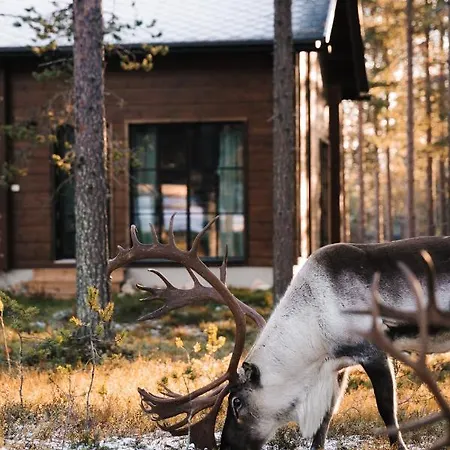 Willa Raanakka House - Premium At