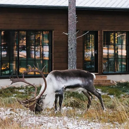 Willa Raanakka House - Premium At