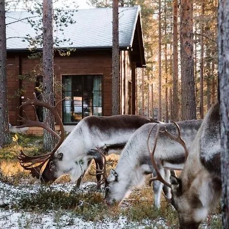 Raanakka House - Premium At * Levi