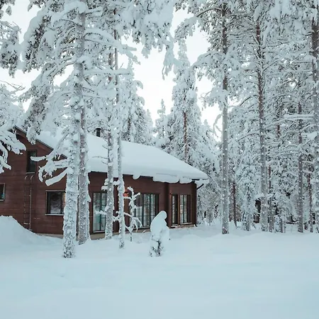 Willa Raanakka House - Premium At Levi