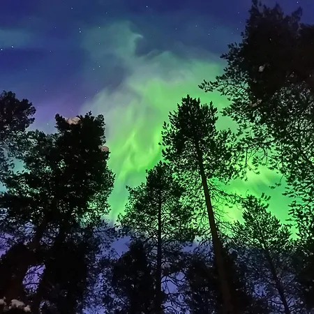 Willa Raanakka House - Premium At