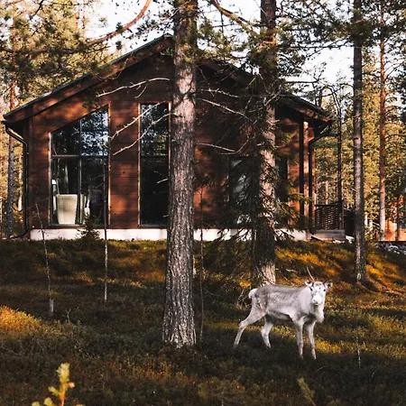 Villa Raanakka House - Premium At Levi