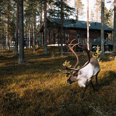 Raanakka House - Premium At *